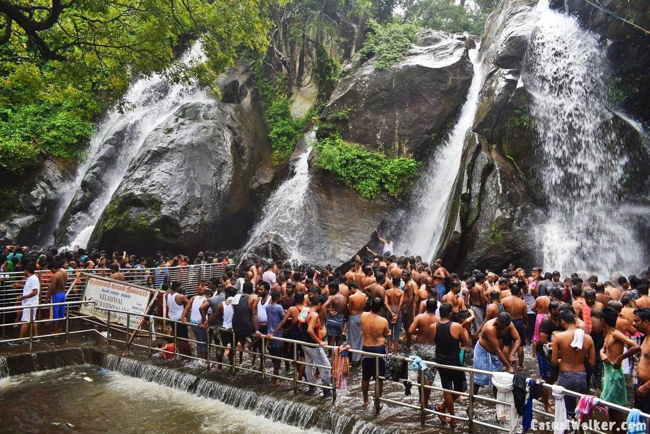 குற்றாலத்தில் மீண்டும் வெள்ளப்பெருக்கு… மாவட்ட நிர்வாகத்தின் அதிரடி உத்தரவு….!!