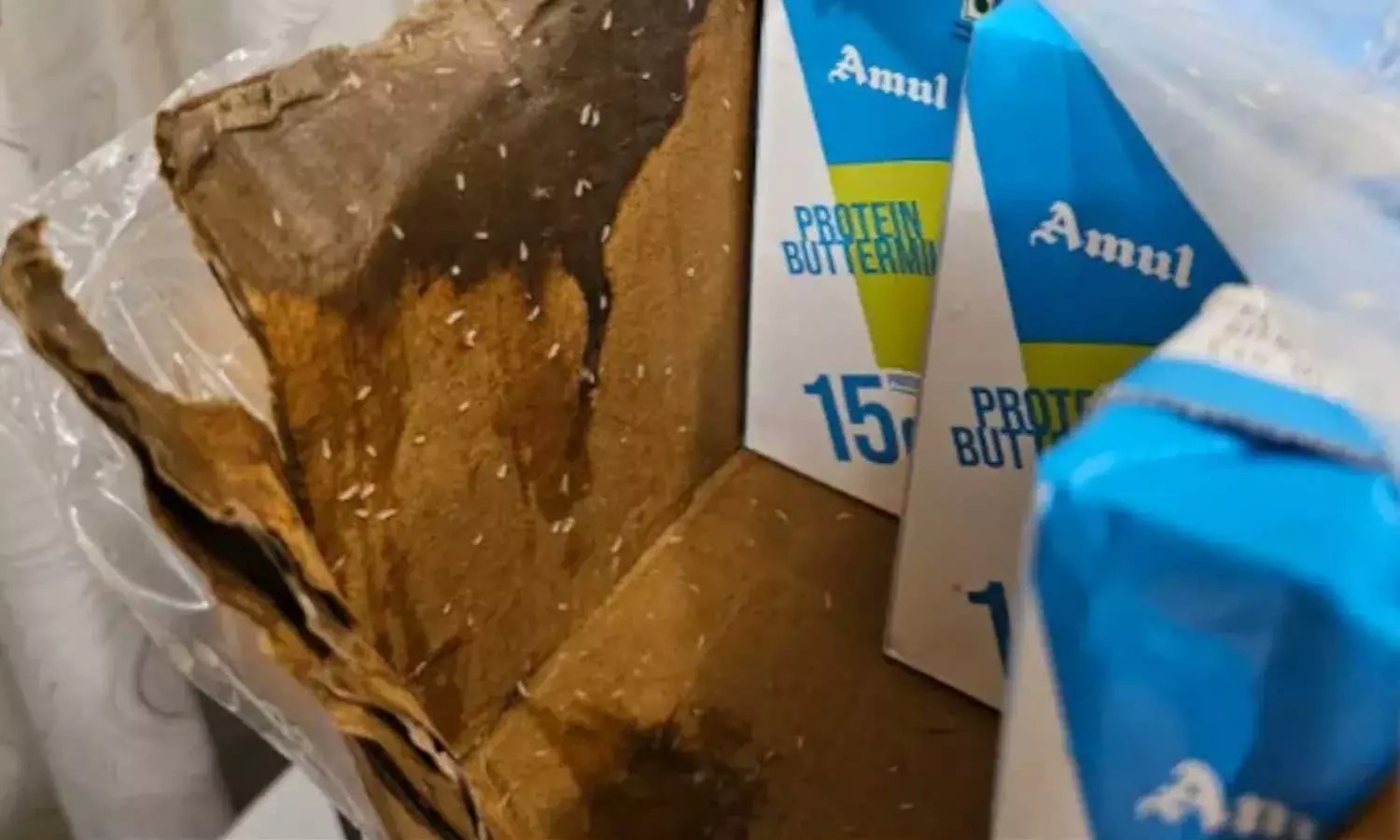 மோர் பாக்கெட்டில் நெளிந்த புழுக்கள்….. வீடியோ வெளியானதால் அதிர்ச்சி…. மன்னிப்பு கேட்ட பிரபல நிறுவனம்…!!